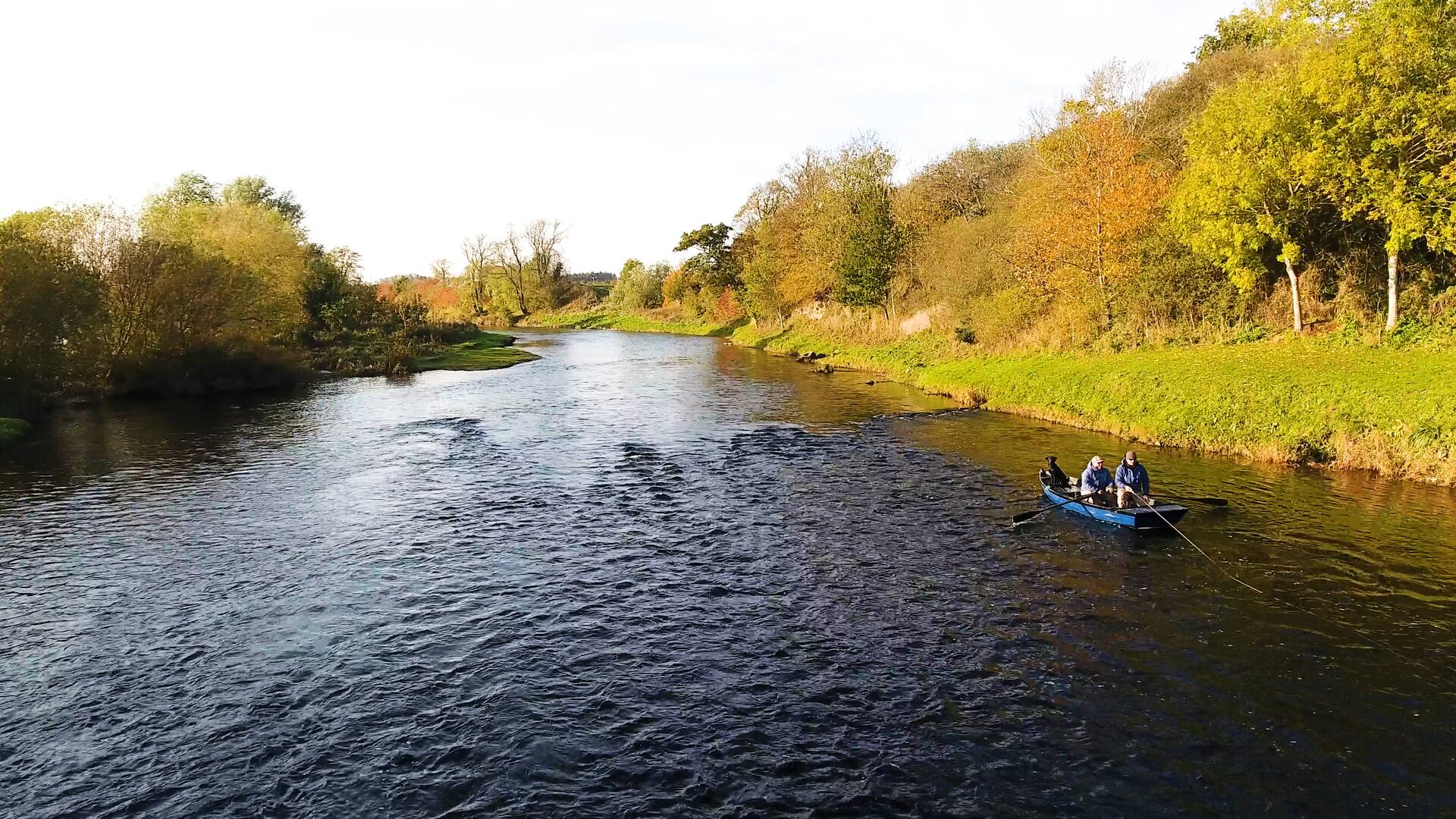 Aerial view of anglers in a blue boat on the River Tweed in autumn sunshine