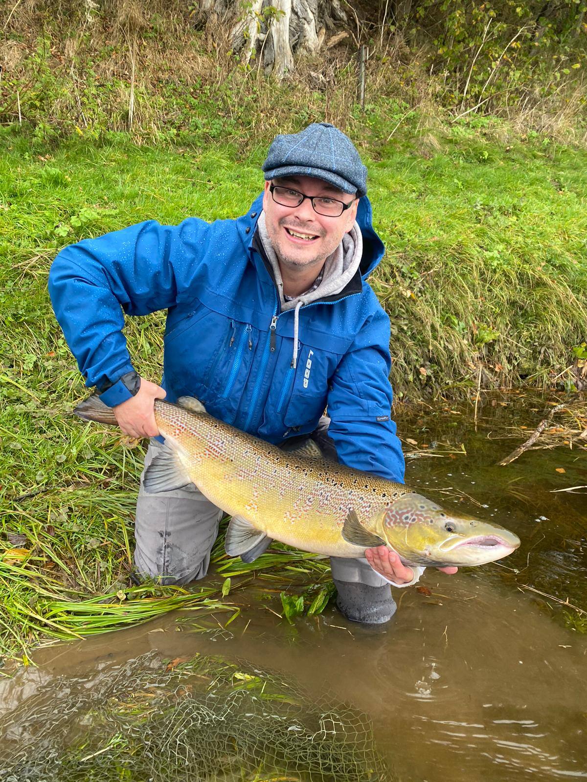 An angler standing in the shallows with a coloured autumn salmon held over the net