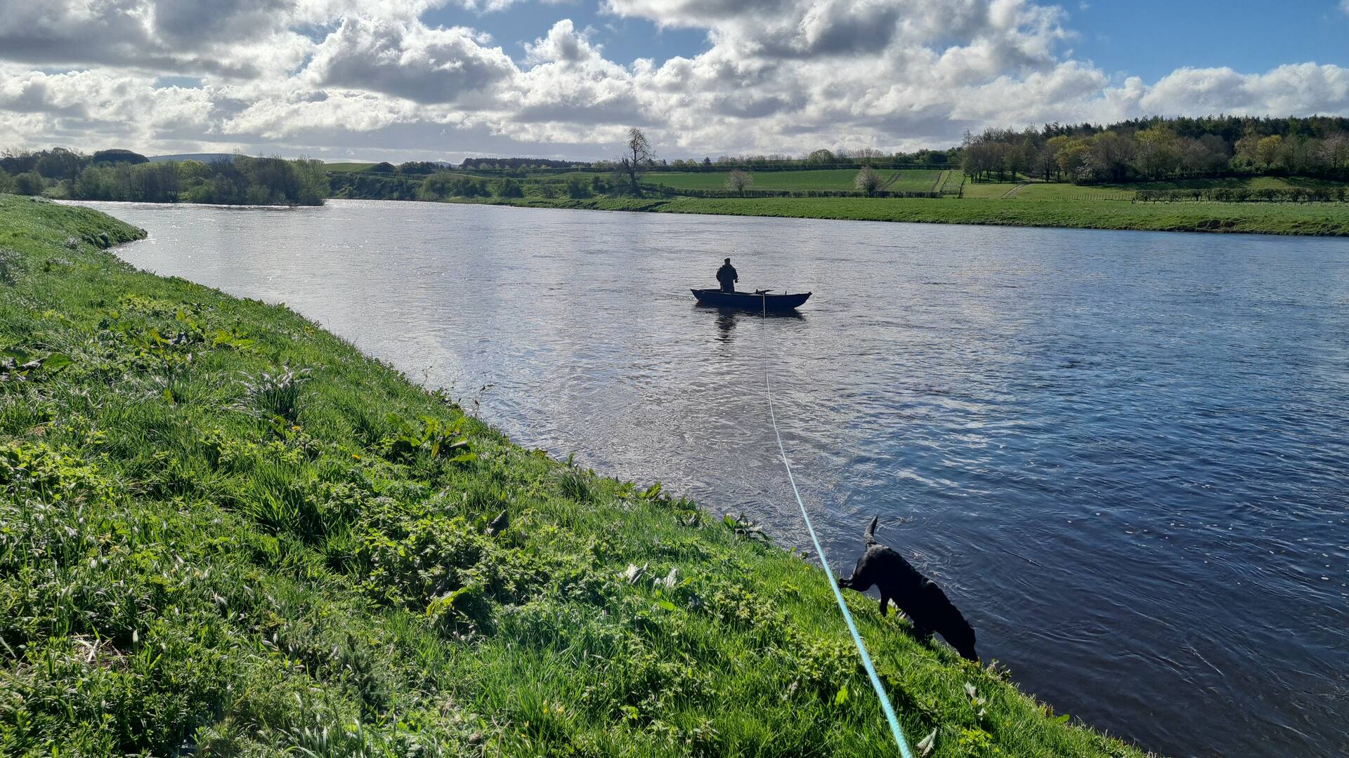A boat on the river held from the bank, with a dog by the water on a spring day