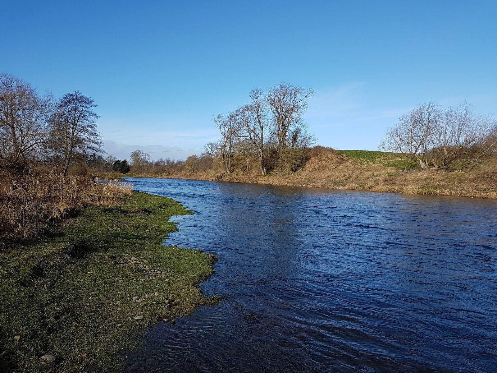 Clear blue-sky view of the River Tweed