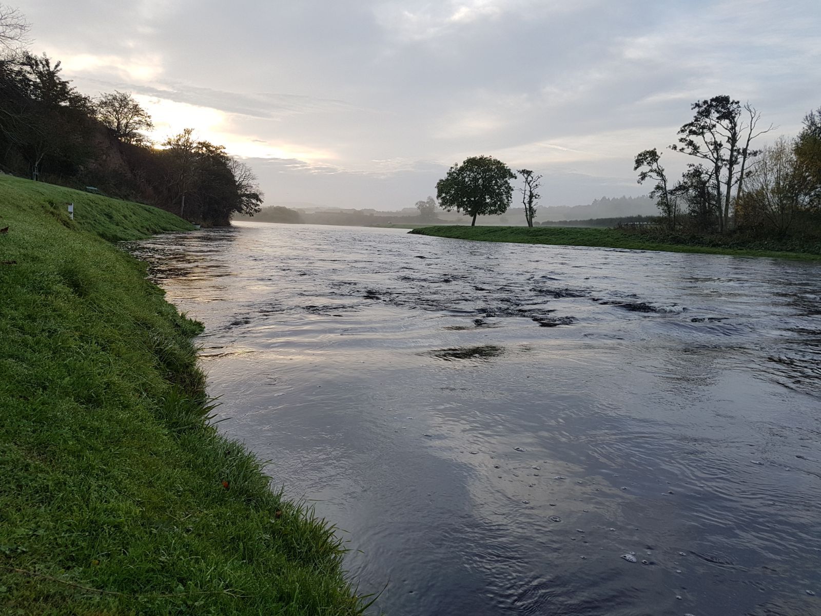 The River Tweed at Upper North Wark, golden evening light