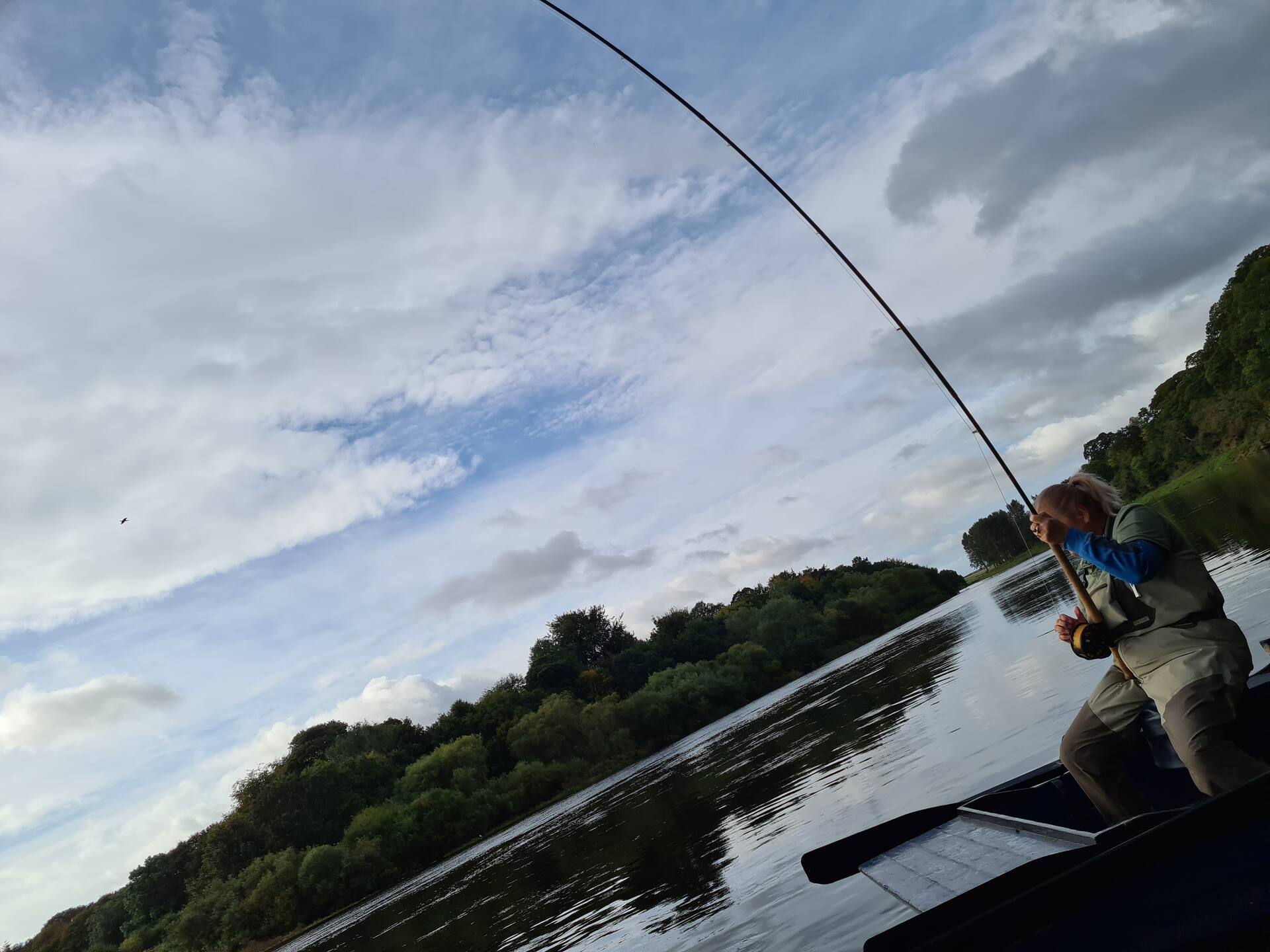 An angler in a boat with the rod hooped over into a fish on a summer evening