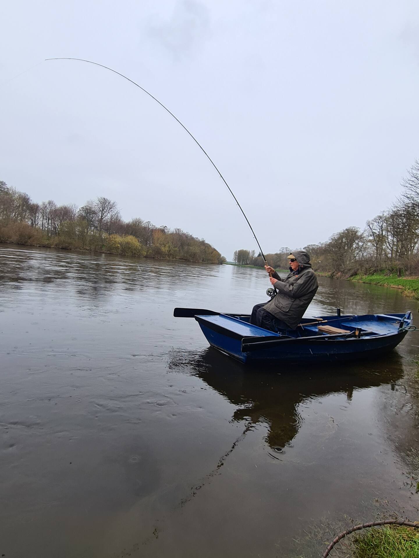 An angler in a blue boat with the rod bent into a fish on a grey spring day