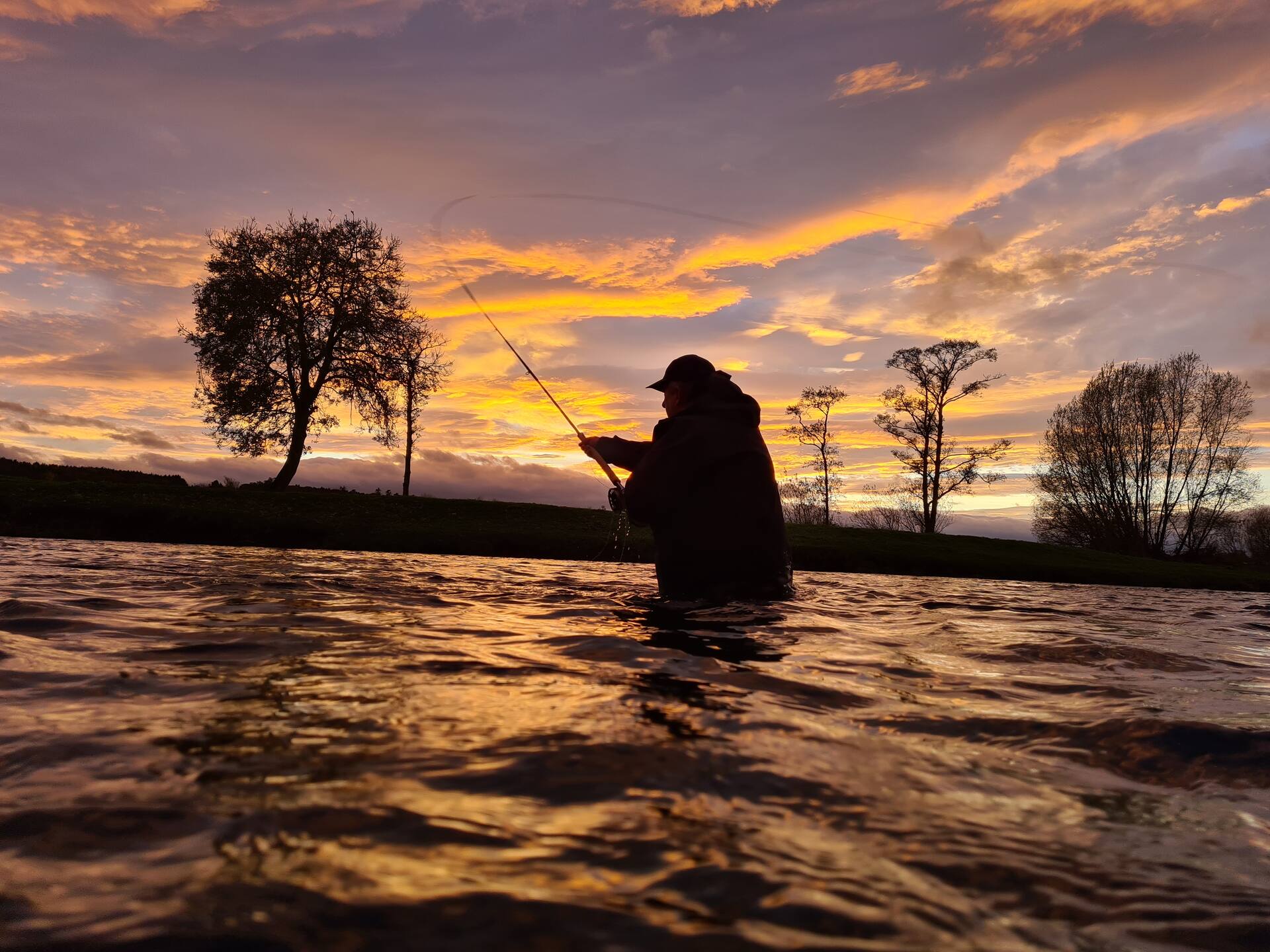A wading angler silhouetted against an orange and purple sunset on the Tweed